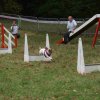 foire-haricots 2011-09-17et18